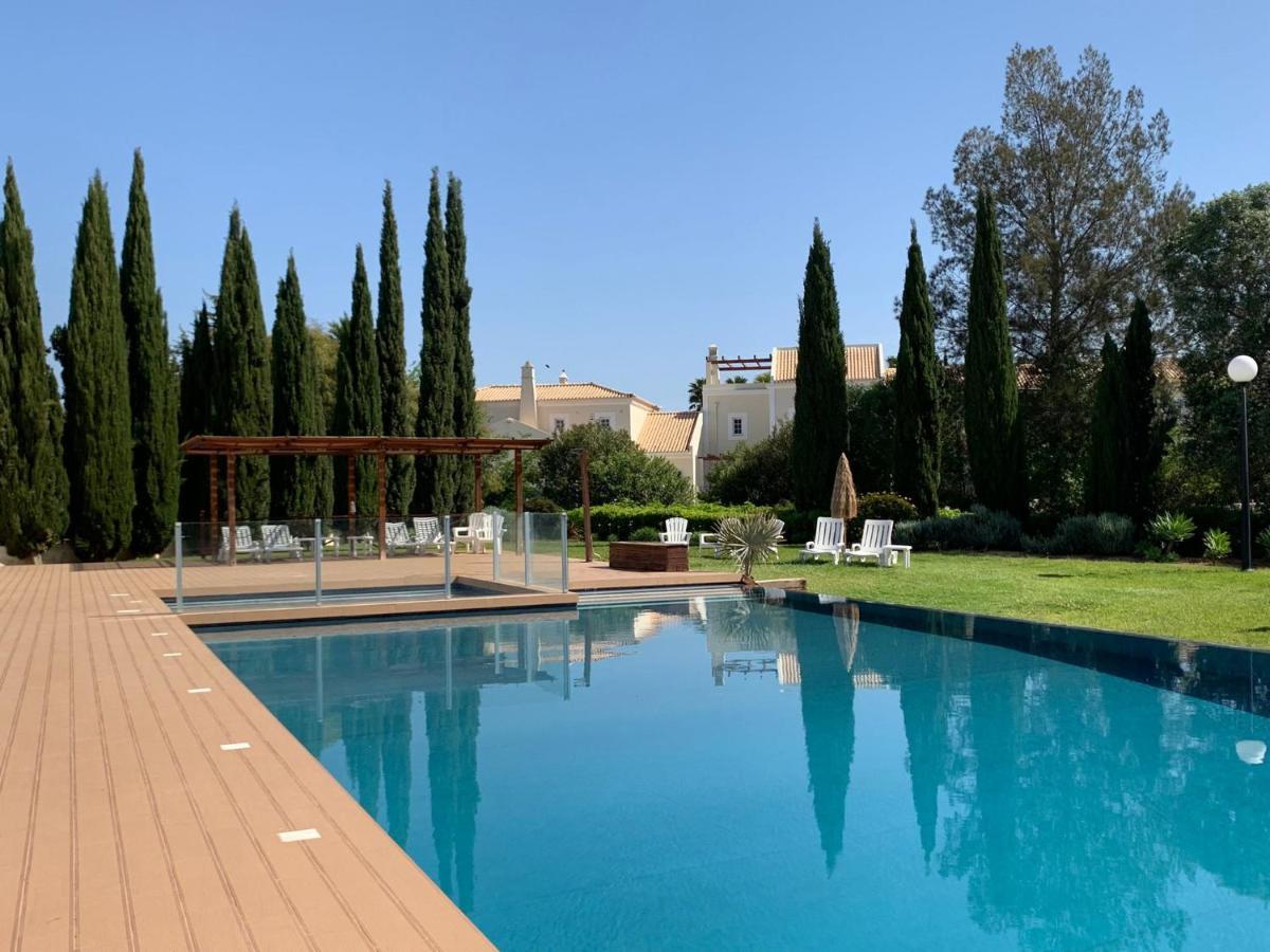 Villa Concept With Pool By Homing